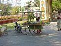 Myanmar 250